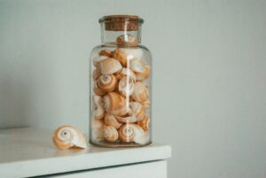 Peut-on ramener des coquillages en avion ?
